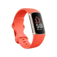 Fitbit Charge 6 Fitness Tracker - Coral/Champagne Aluminium